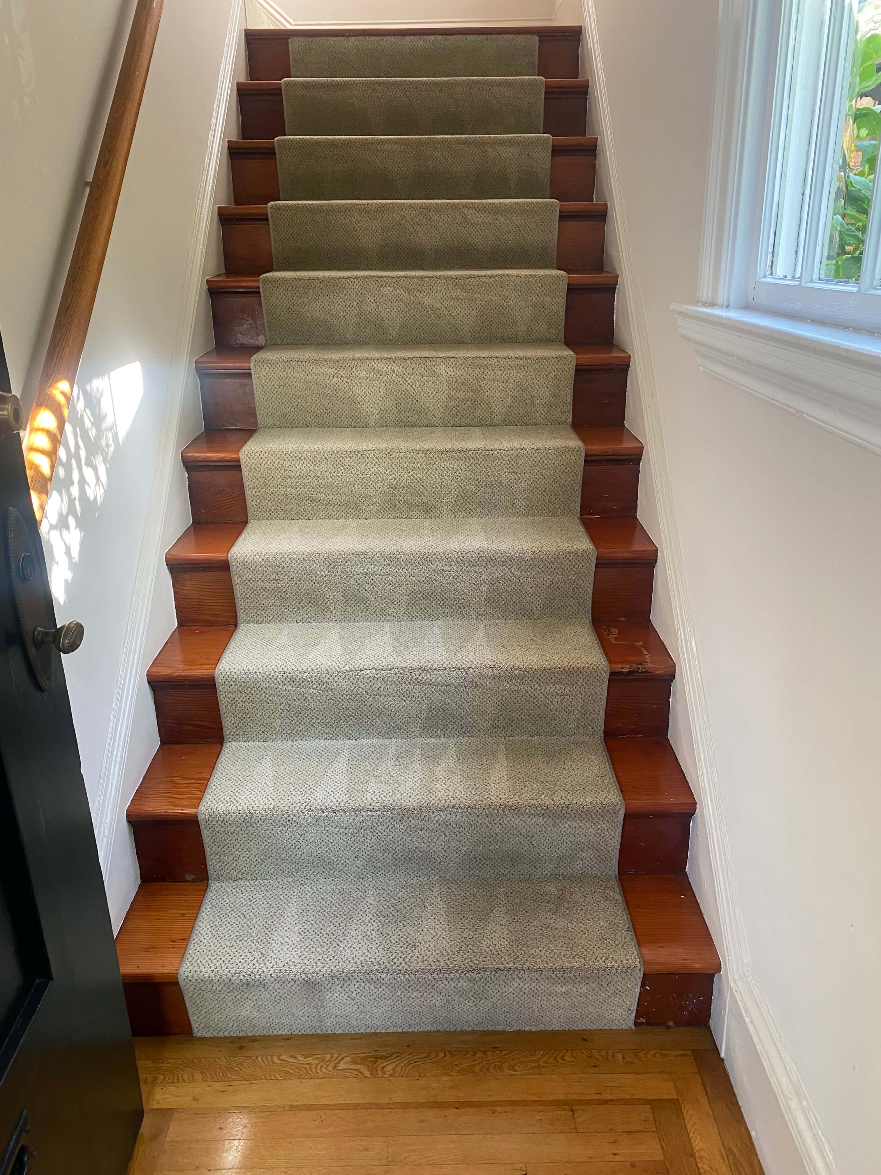 Technician performing deep carpet stain removal