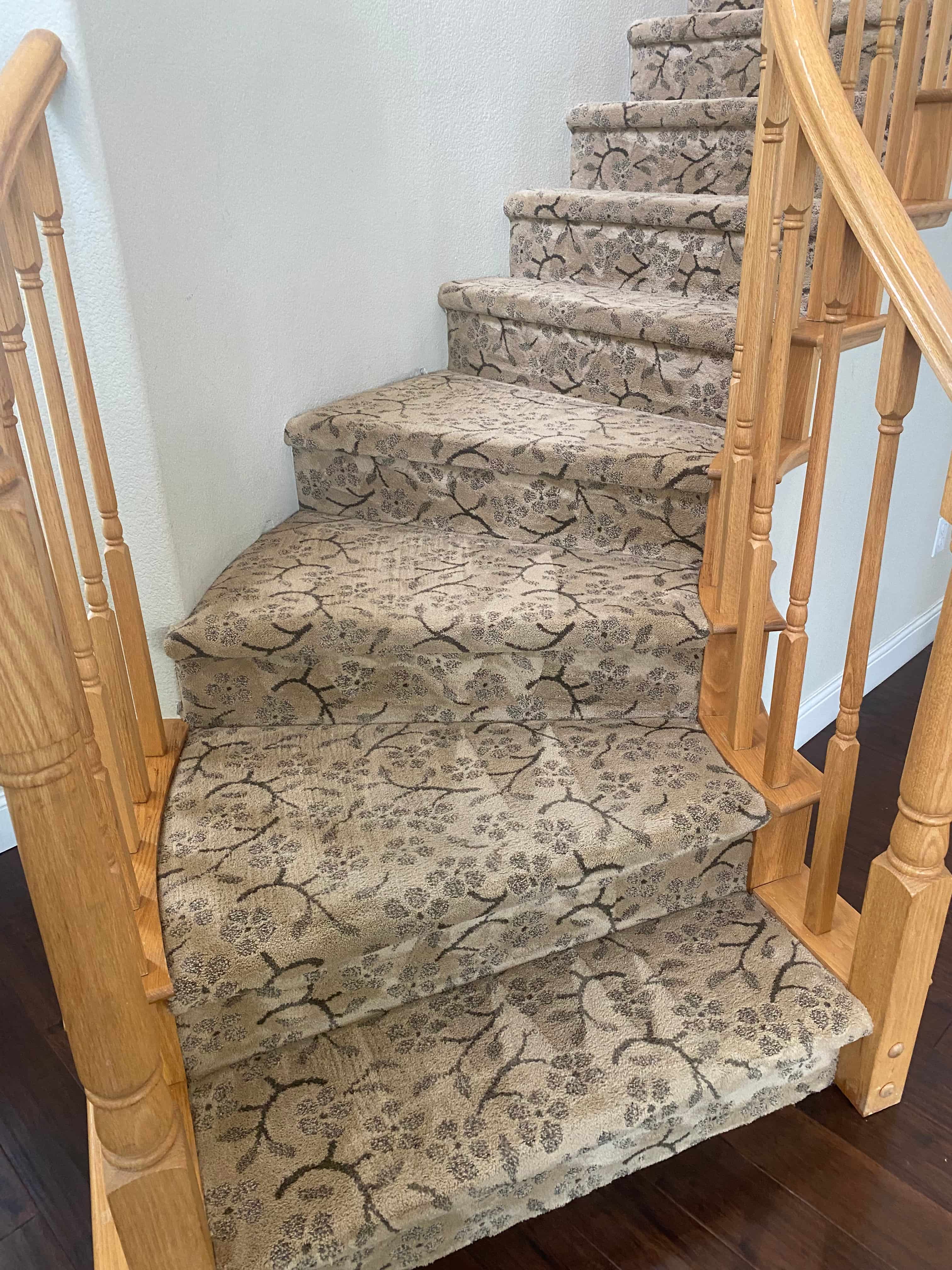 Technician using low moisture carpet cleaning