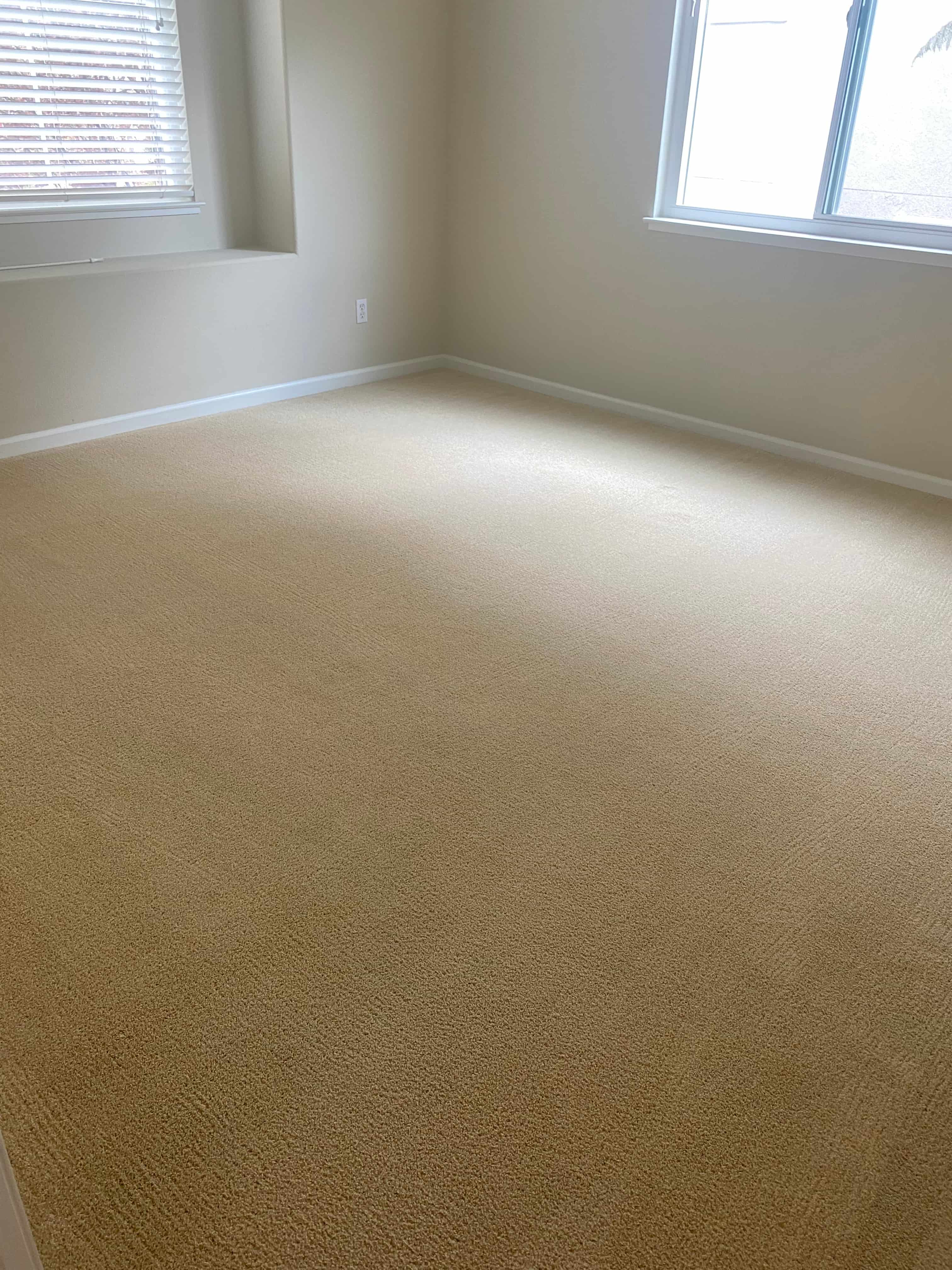 Cleaning carpets to improve indoor air quality