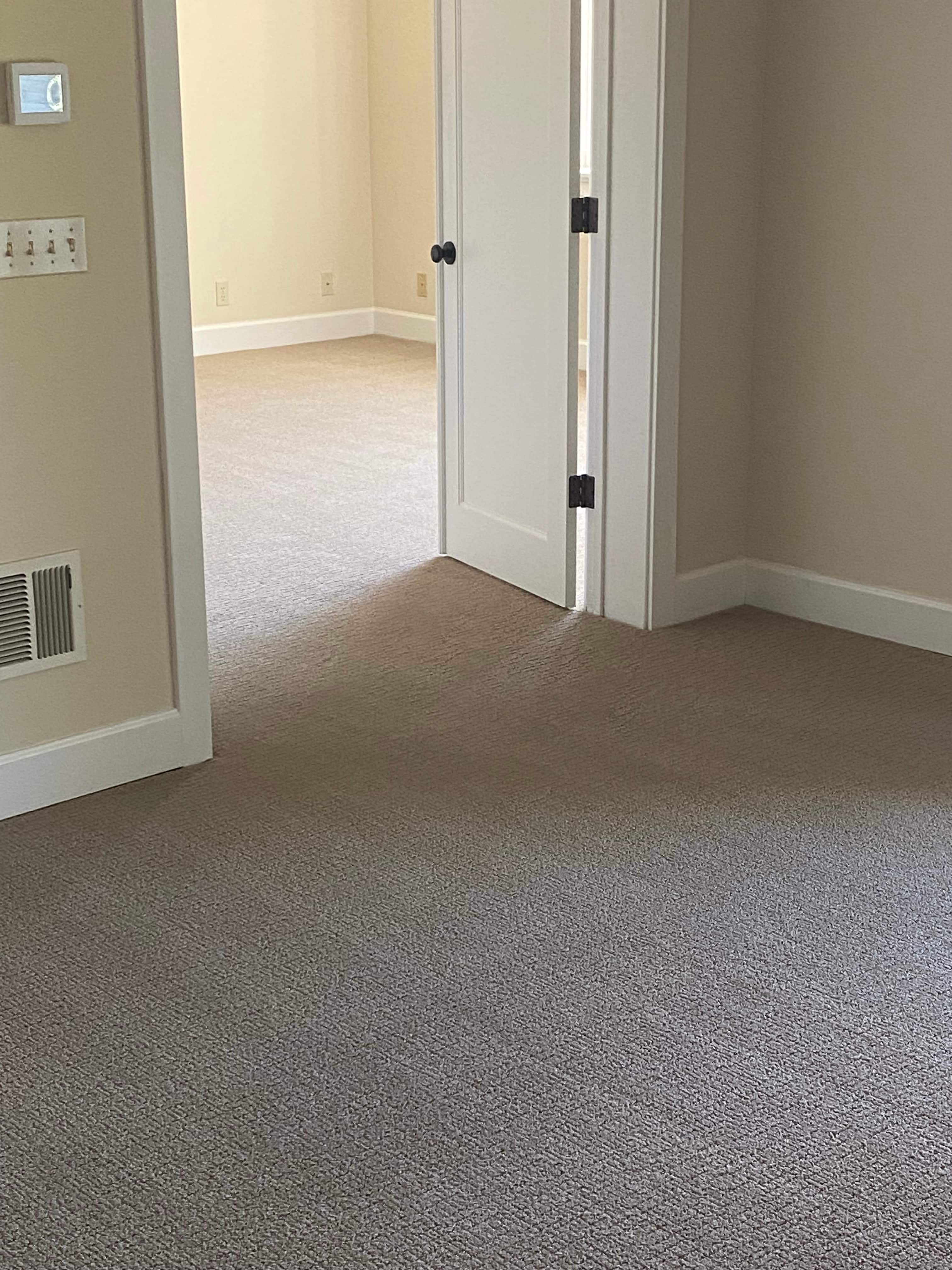 Professional team restoring carpets to original beauty