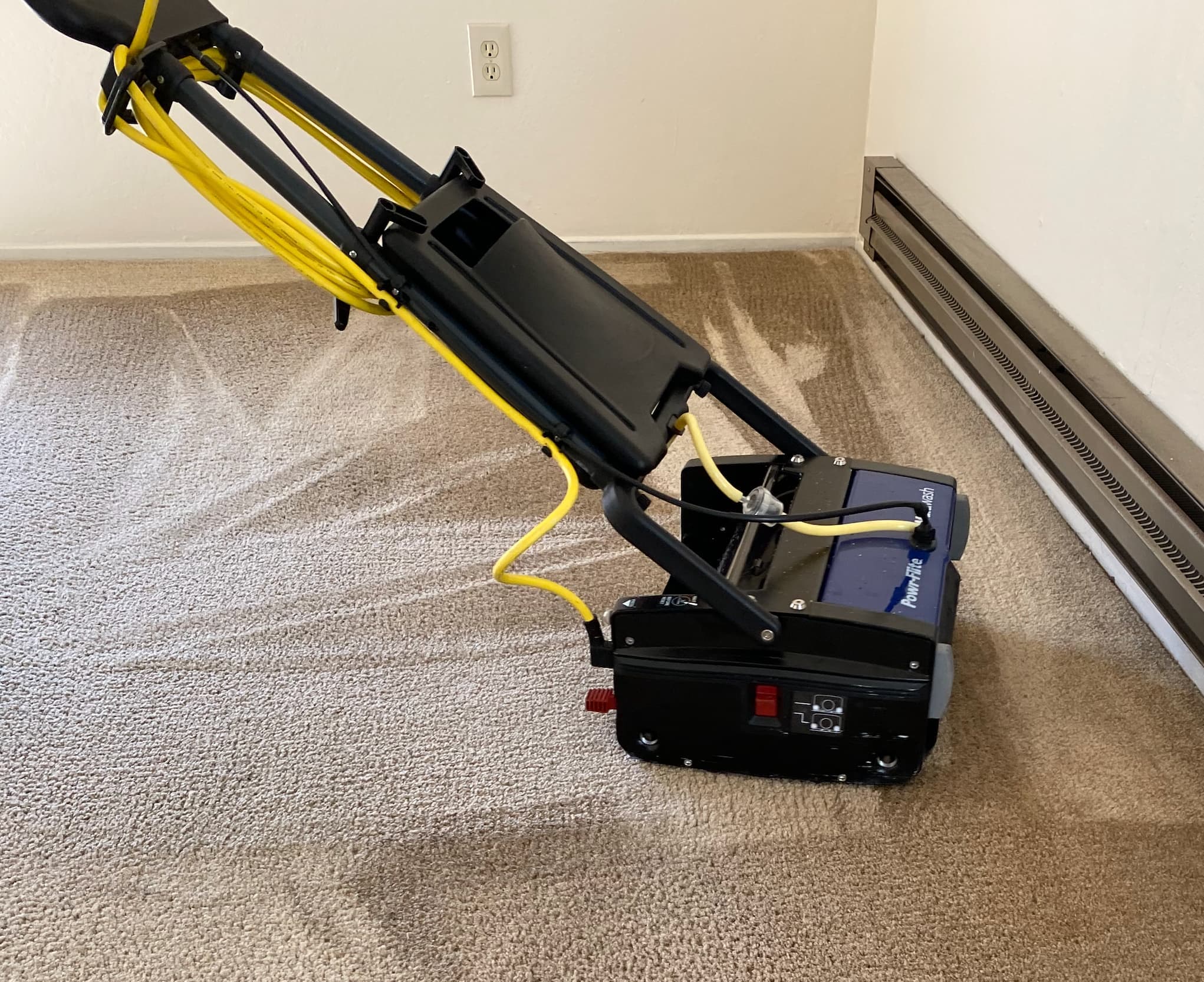 Eco friendly carpet cleaning in living room