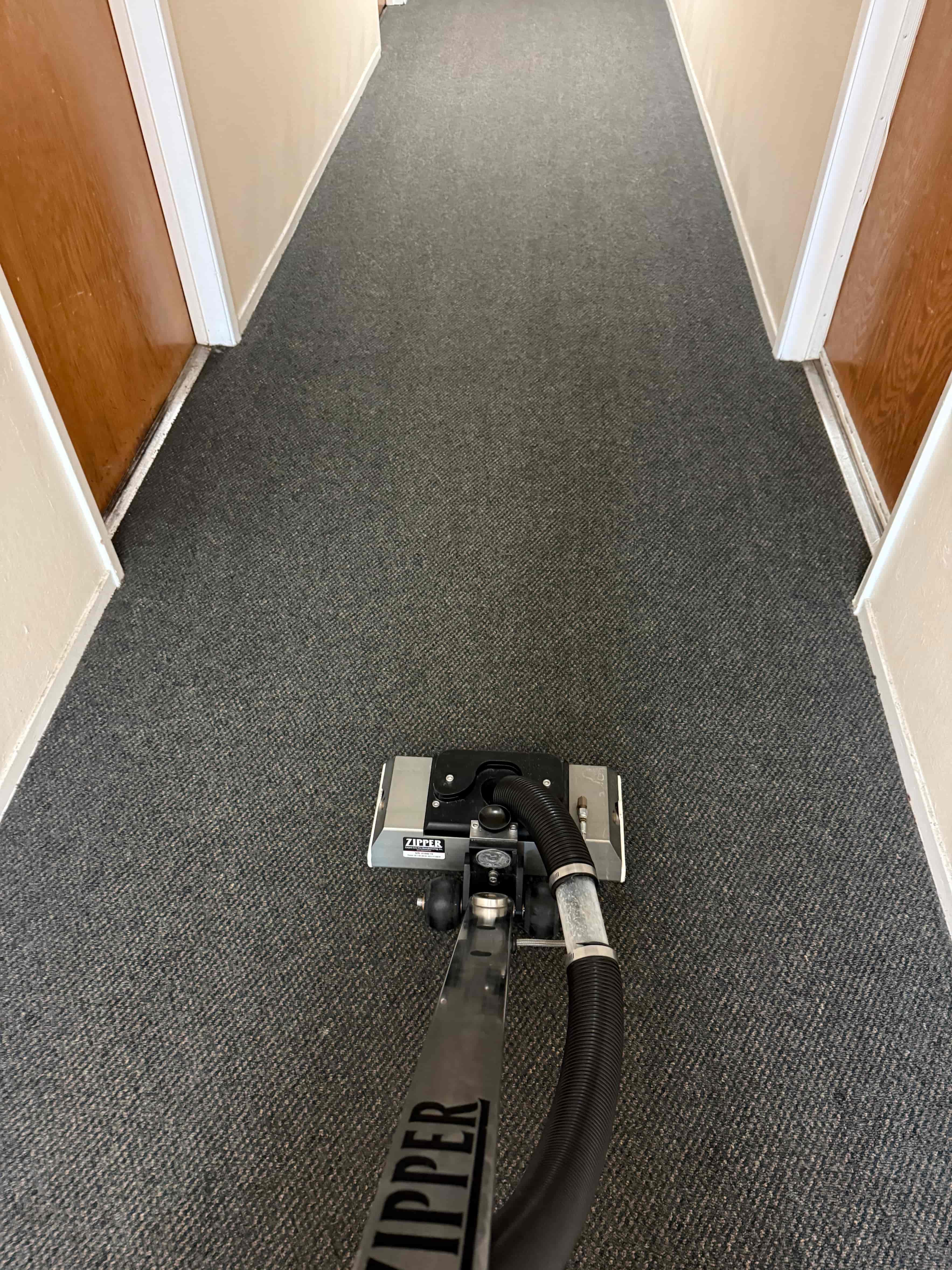 Expert steam cleaning of residential carpets