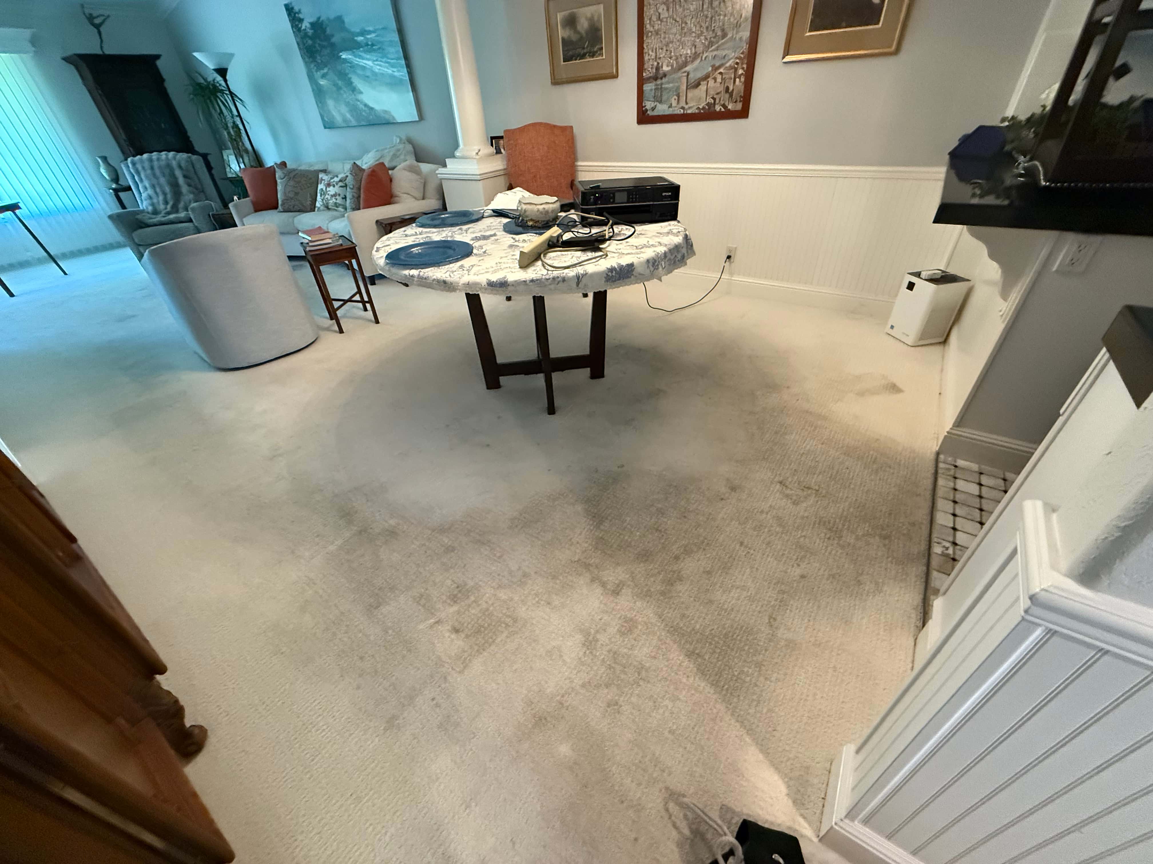 Commercial carpet cleaning in office space